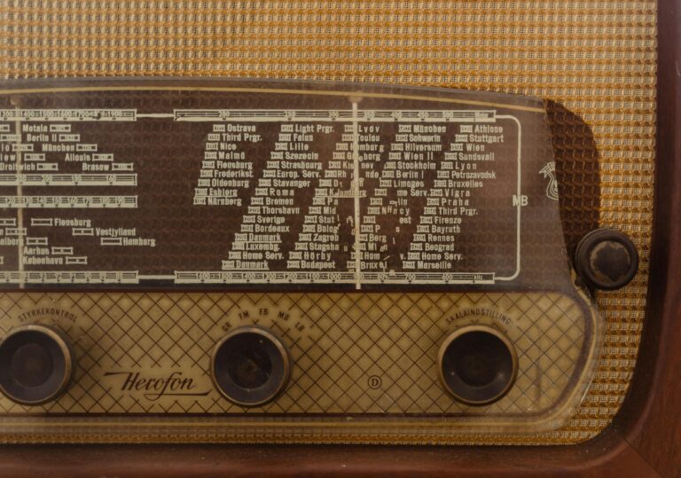 Maximizing Your Blog’s Reach: SEO Tips for Bloggers